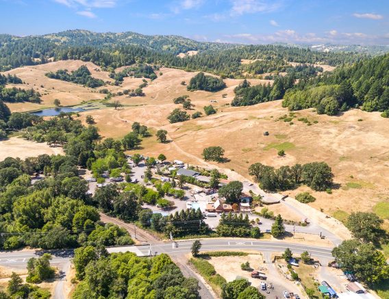 Mendocino Redwoods Aerial