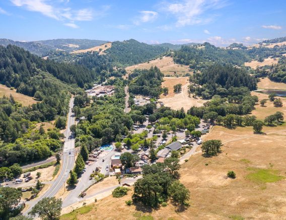 Mendocino Redwoods Aerial