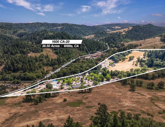 Mendocino Redwoods Aerial