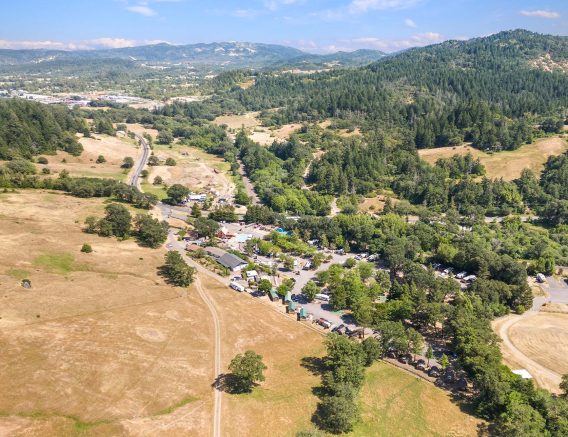 Mendocino Redwoods Aerial