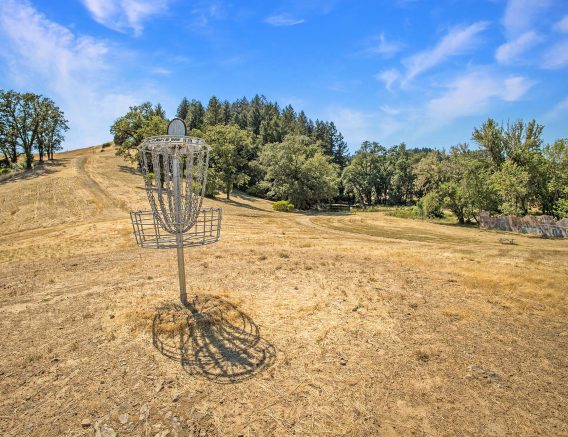 Disc Golf